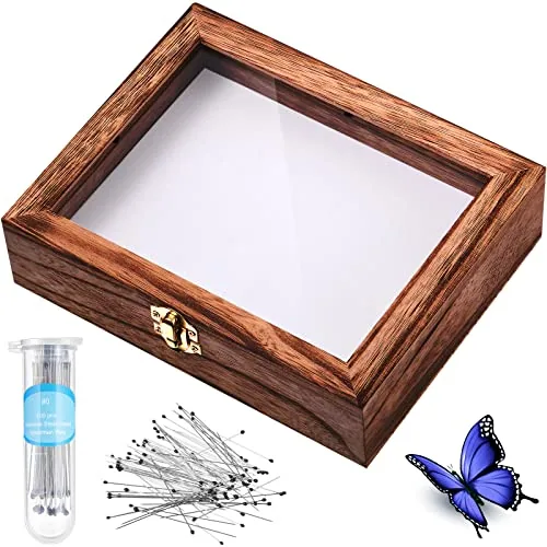 Insect Display Case Bug Box with Clear Lid